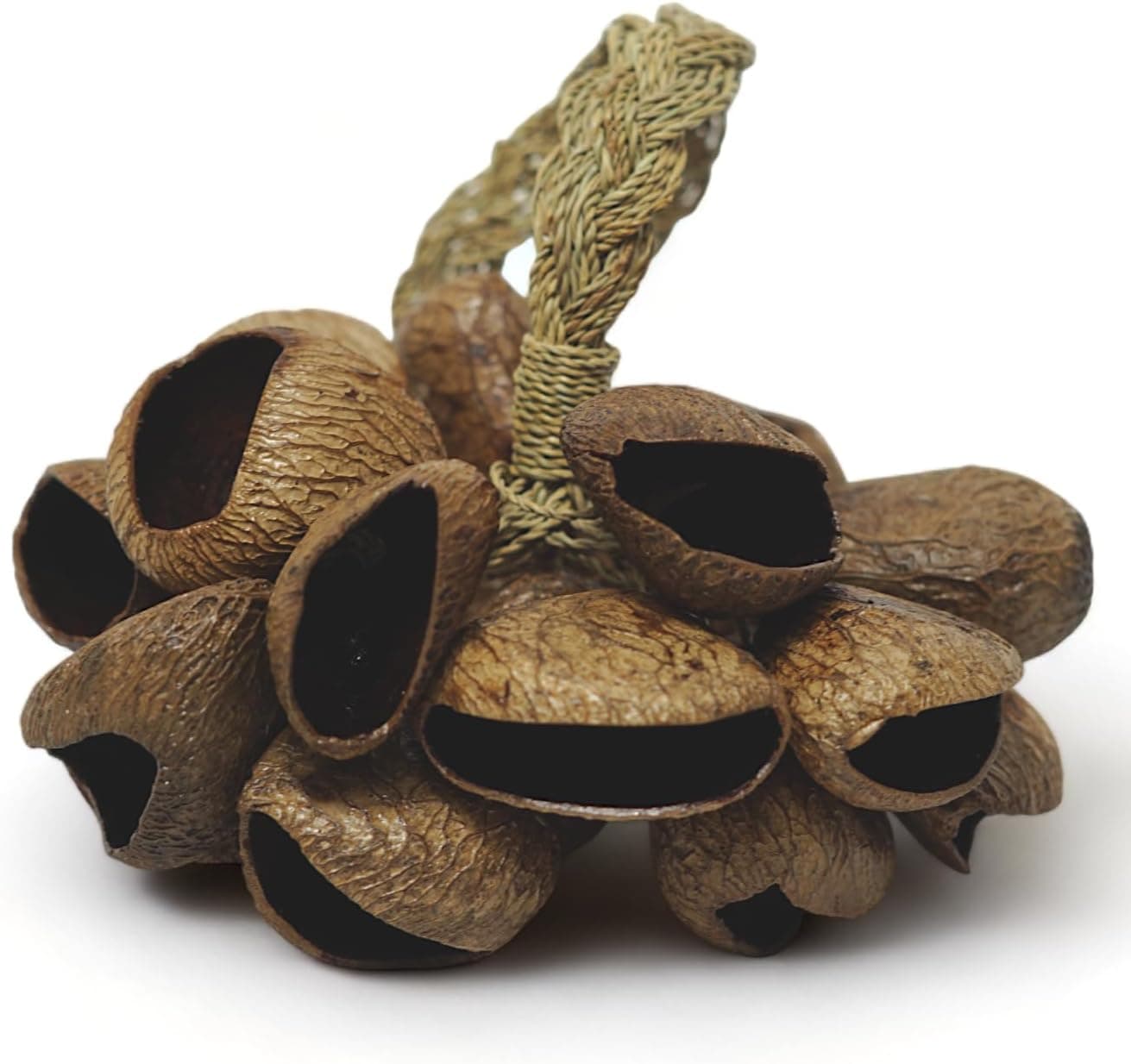 Pangi Seed Shell Shaker
